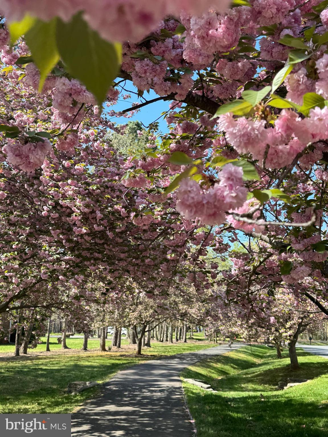 FAWN LAKE - Residential