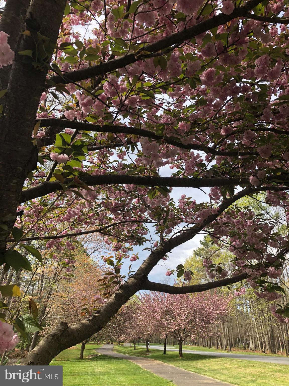 FAWN LAKE - Residential