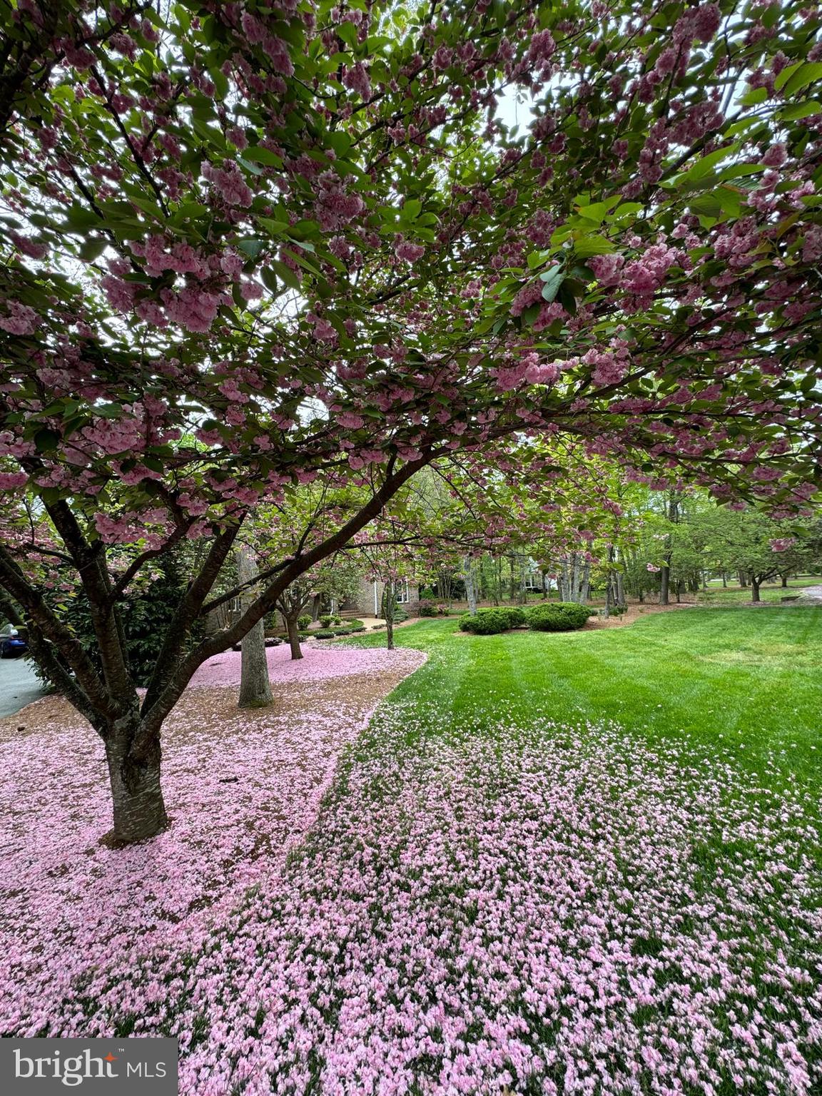 FAWN LAKE - Residential