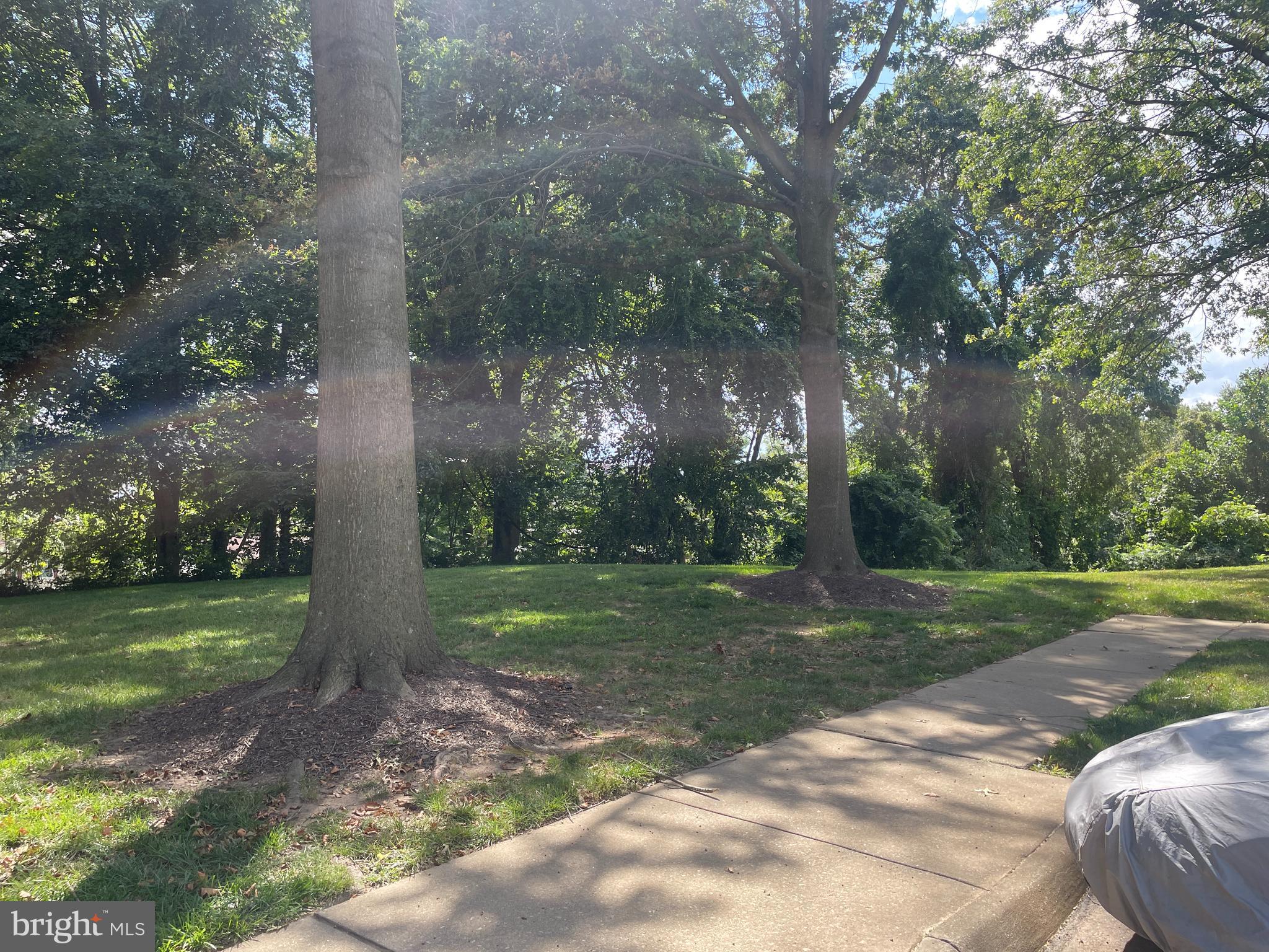 THE POINTE - Residential