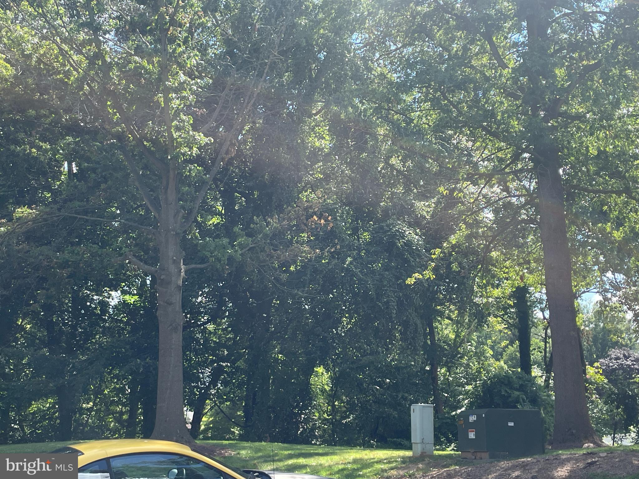 THE POINTE - Residential