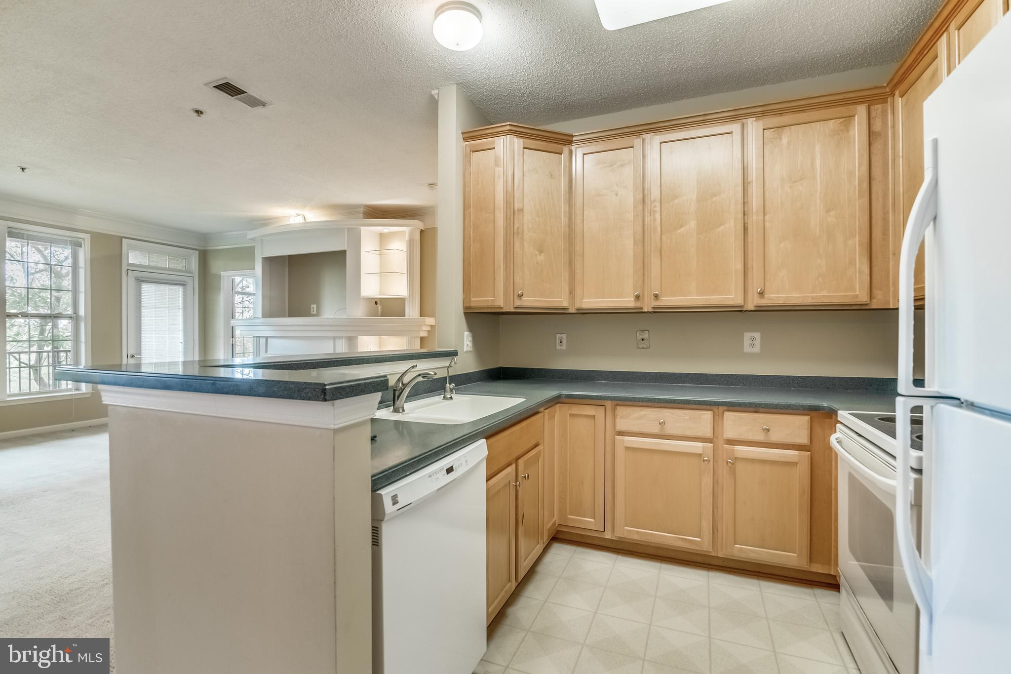 MADISON PARK AT WEST MARKET - Residential