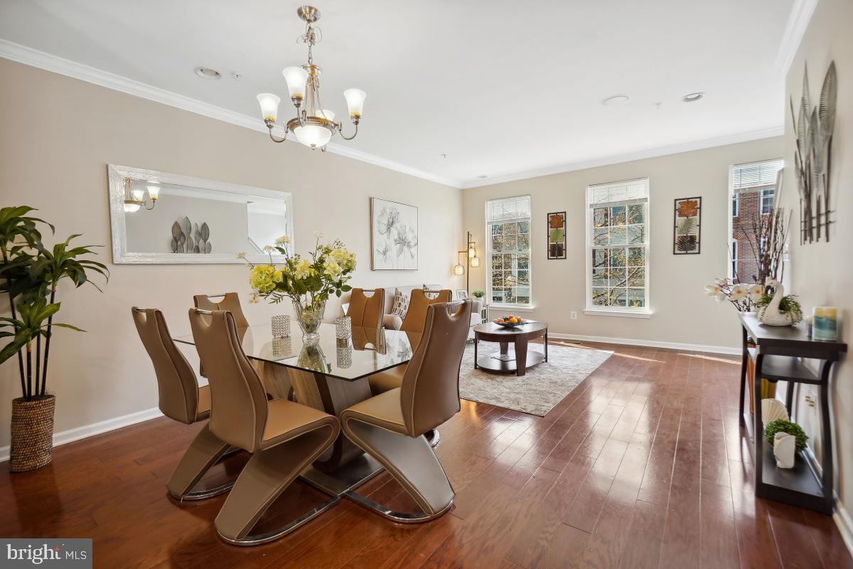 AMBERLEA AT SOUTH RIDING - Residential