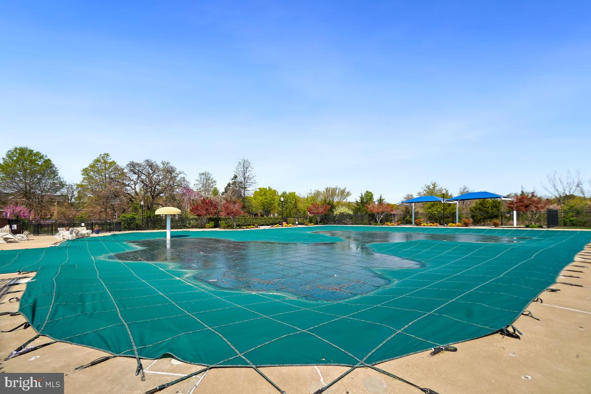 AMBERLEA AT SOUTH RIDING - Residential