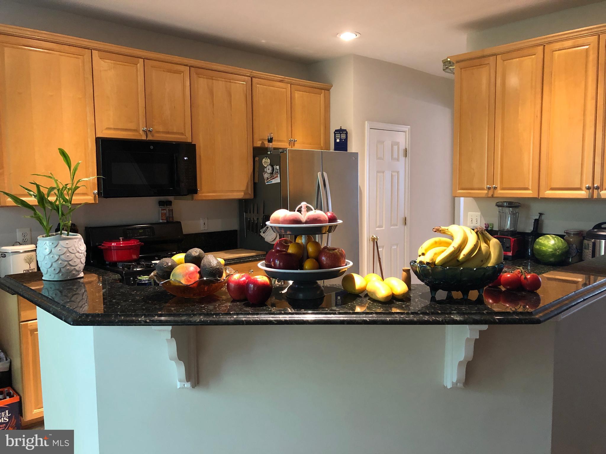 VIENNA METRO - Residential Lease