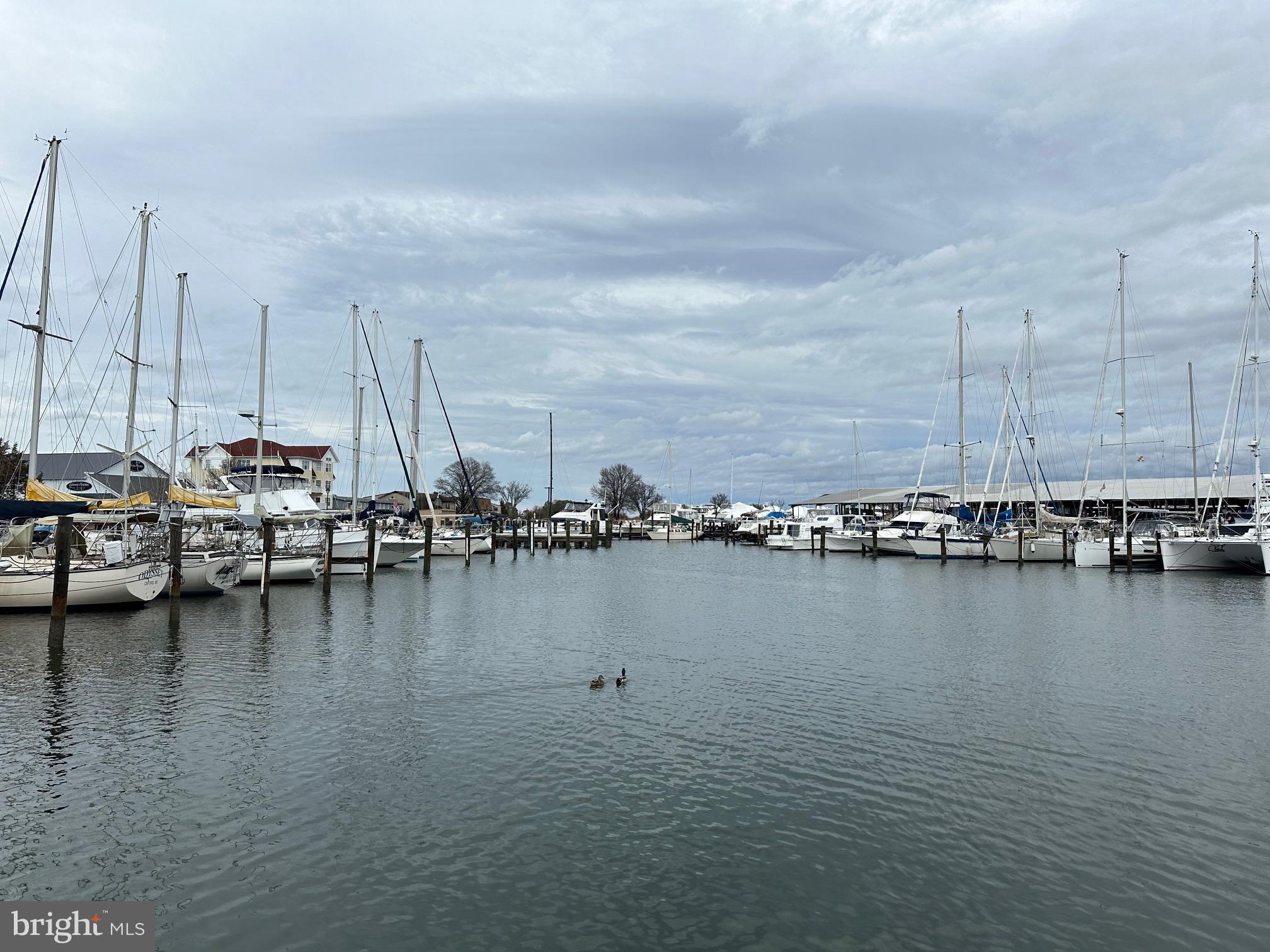 PINEY NARROWS - Residential