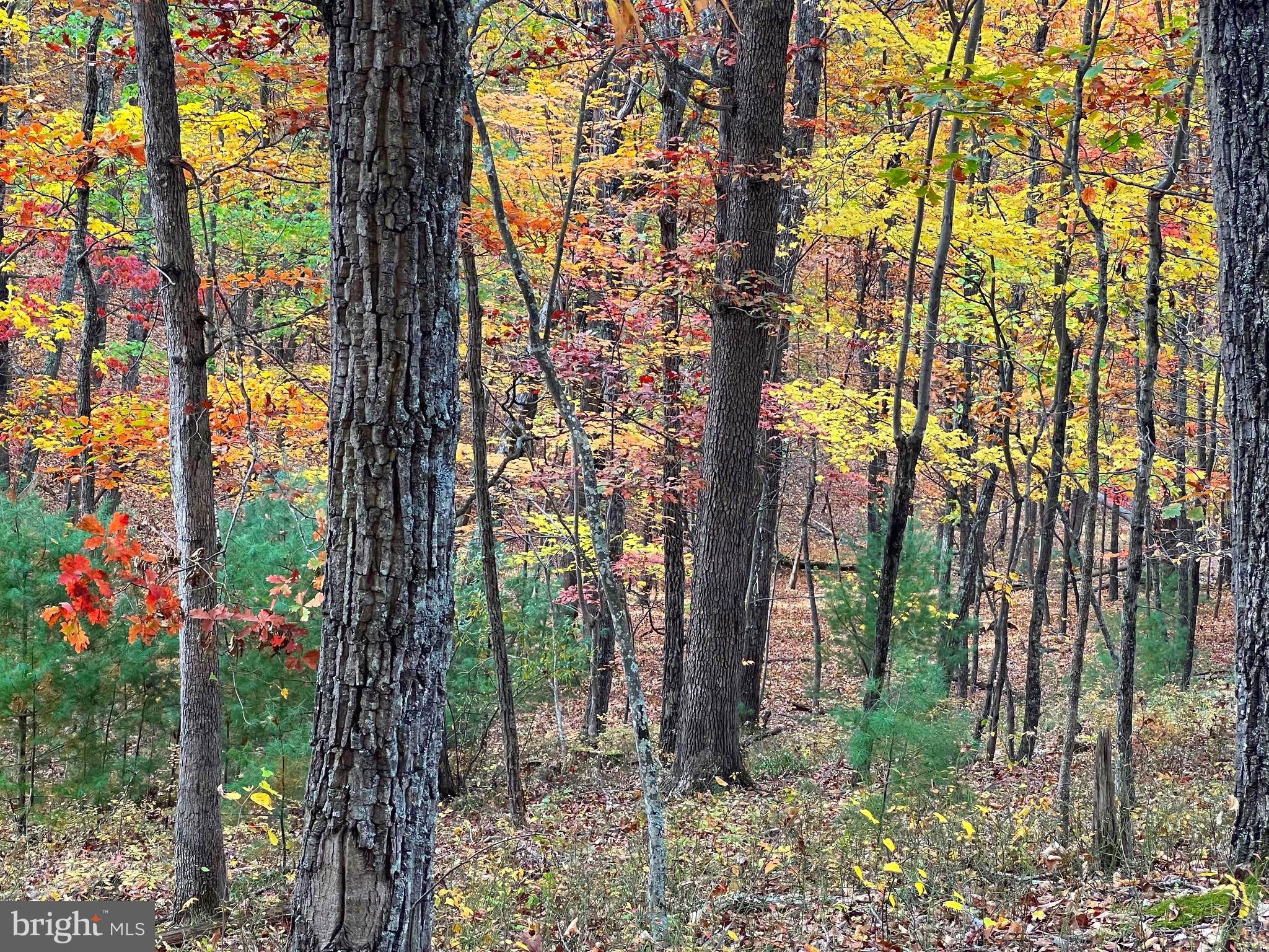 POTOMAV VALLEY OVERLOOK - Land