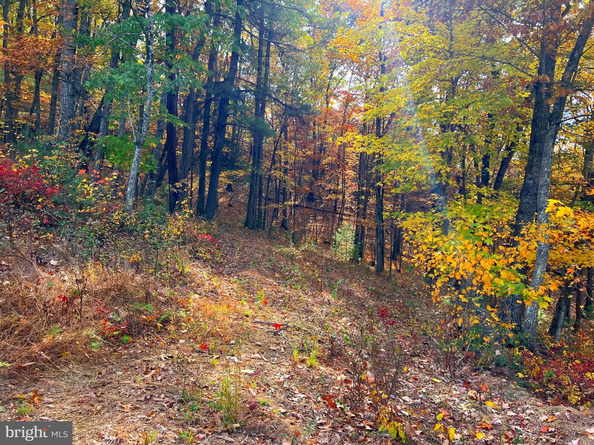 POTOMAV VALLEY OVERLOOK - Land