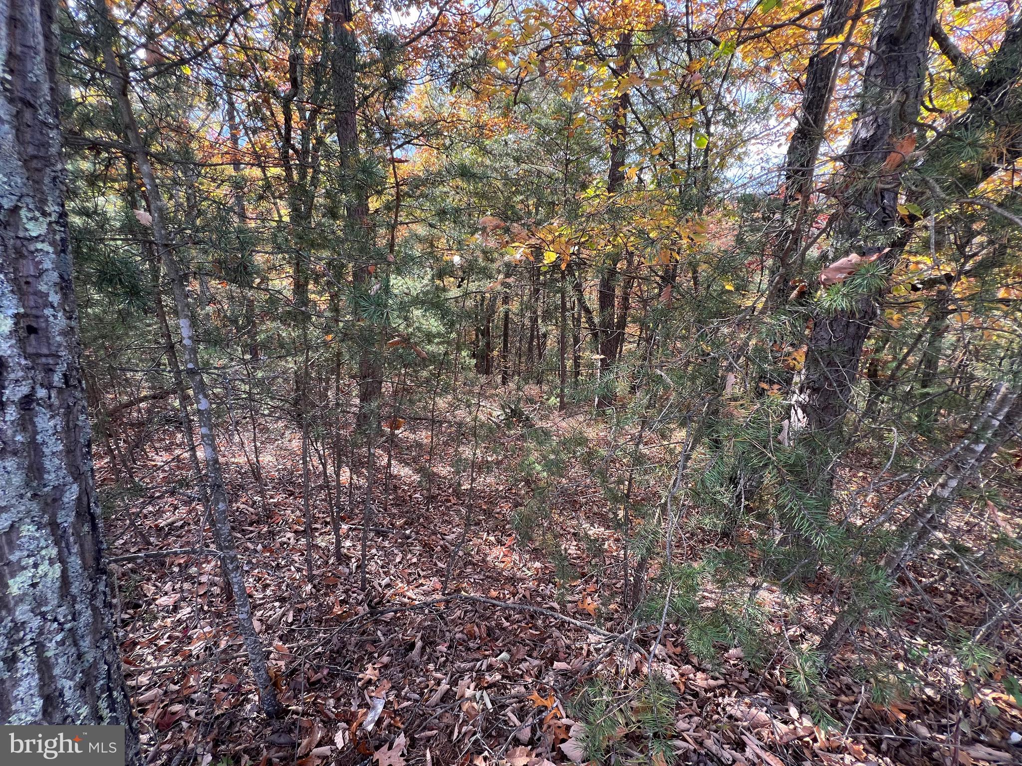 POTOMAV VALLEY OVERLOOK - Land