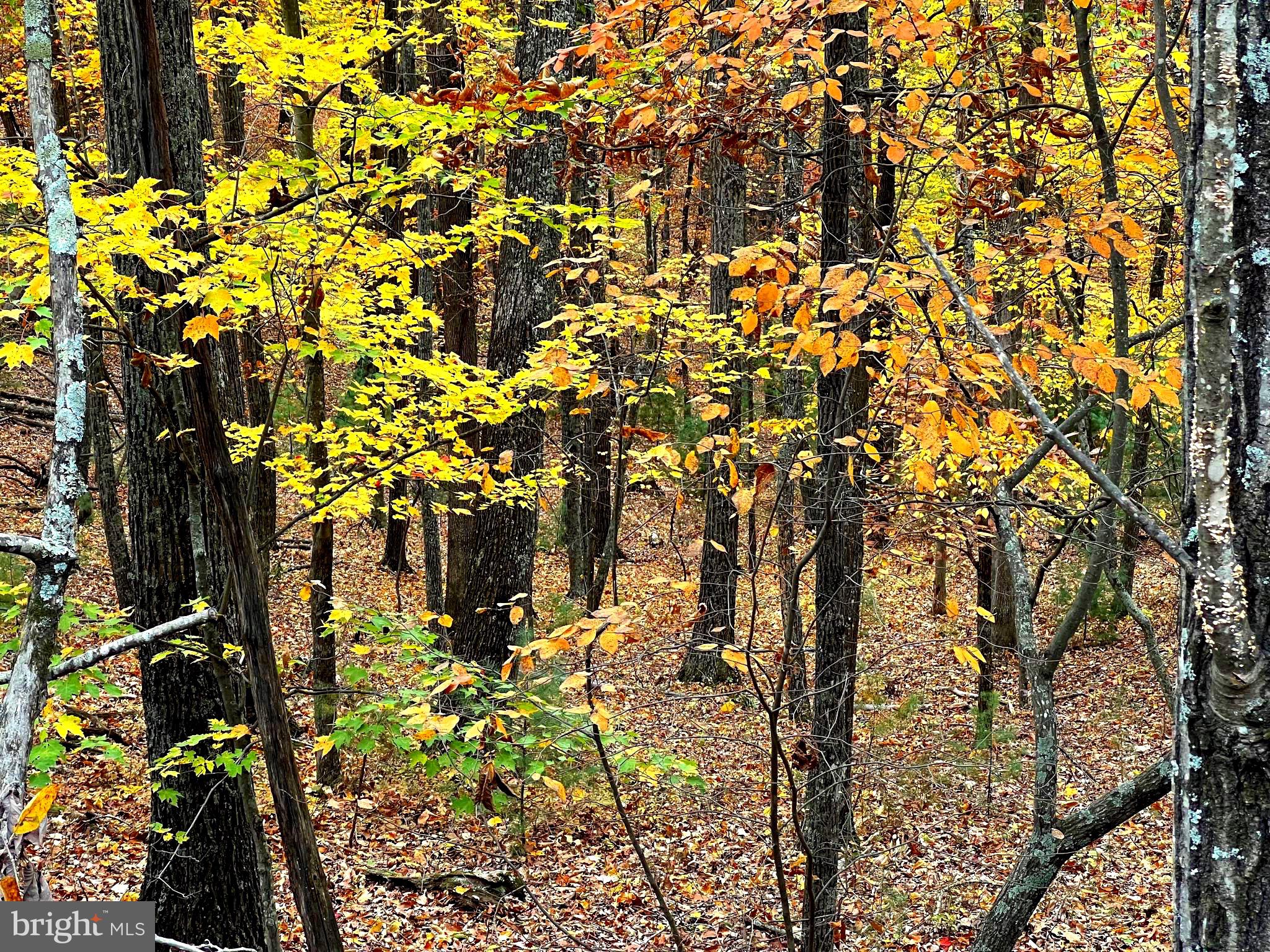POTOMAV VALLEY OVERLOOK - Land