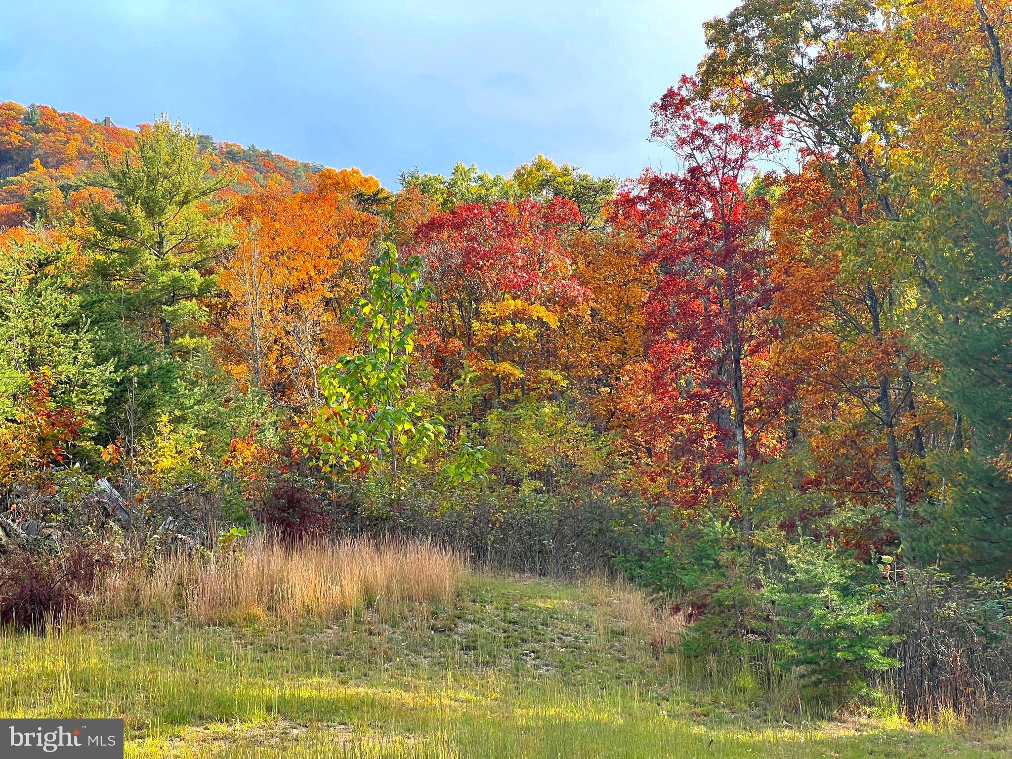 POTOMAV VALLEY OVERLOOK - Land