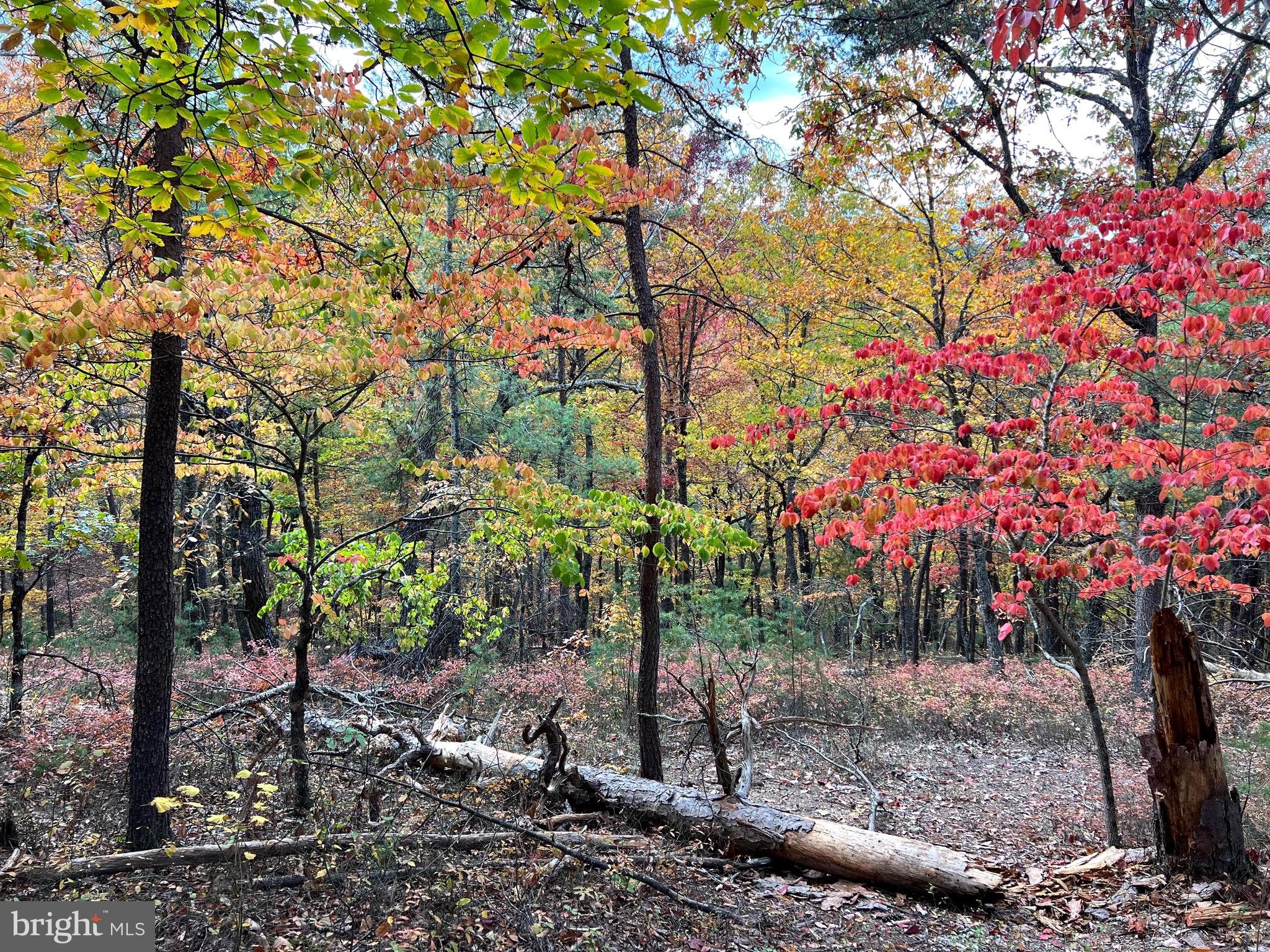 POTOMAV VALLEY OVERLOOK - Land
