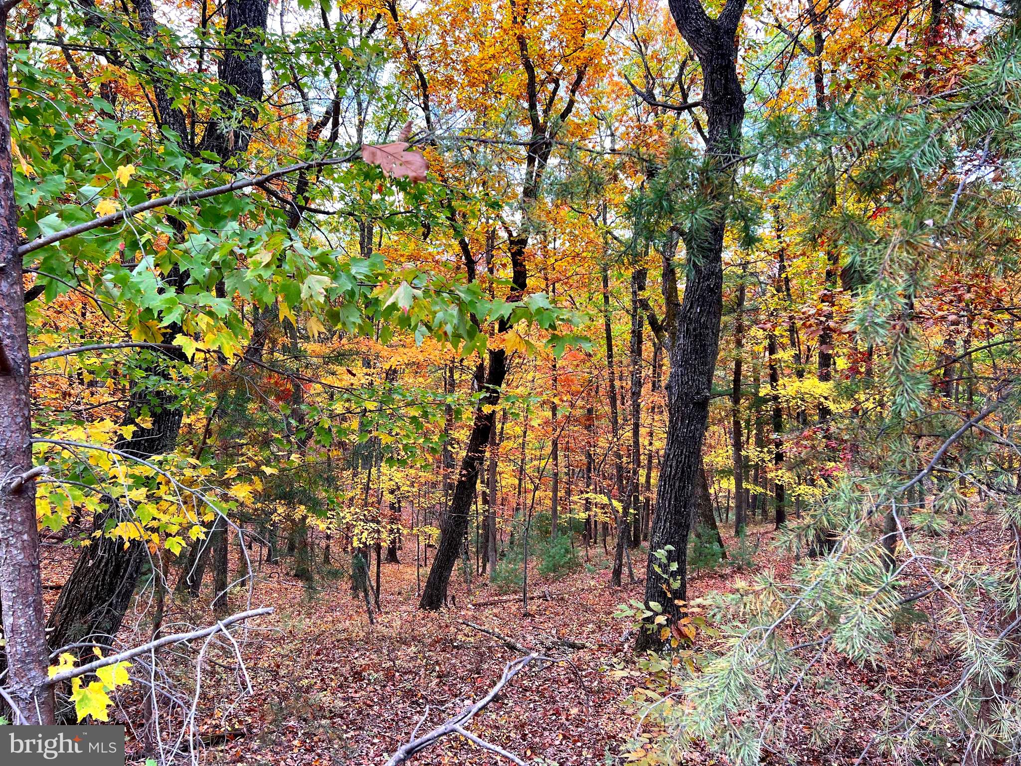 POTOMAV VALLEY OVERLOOK - Land