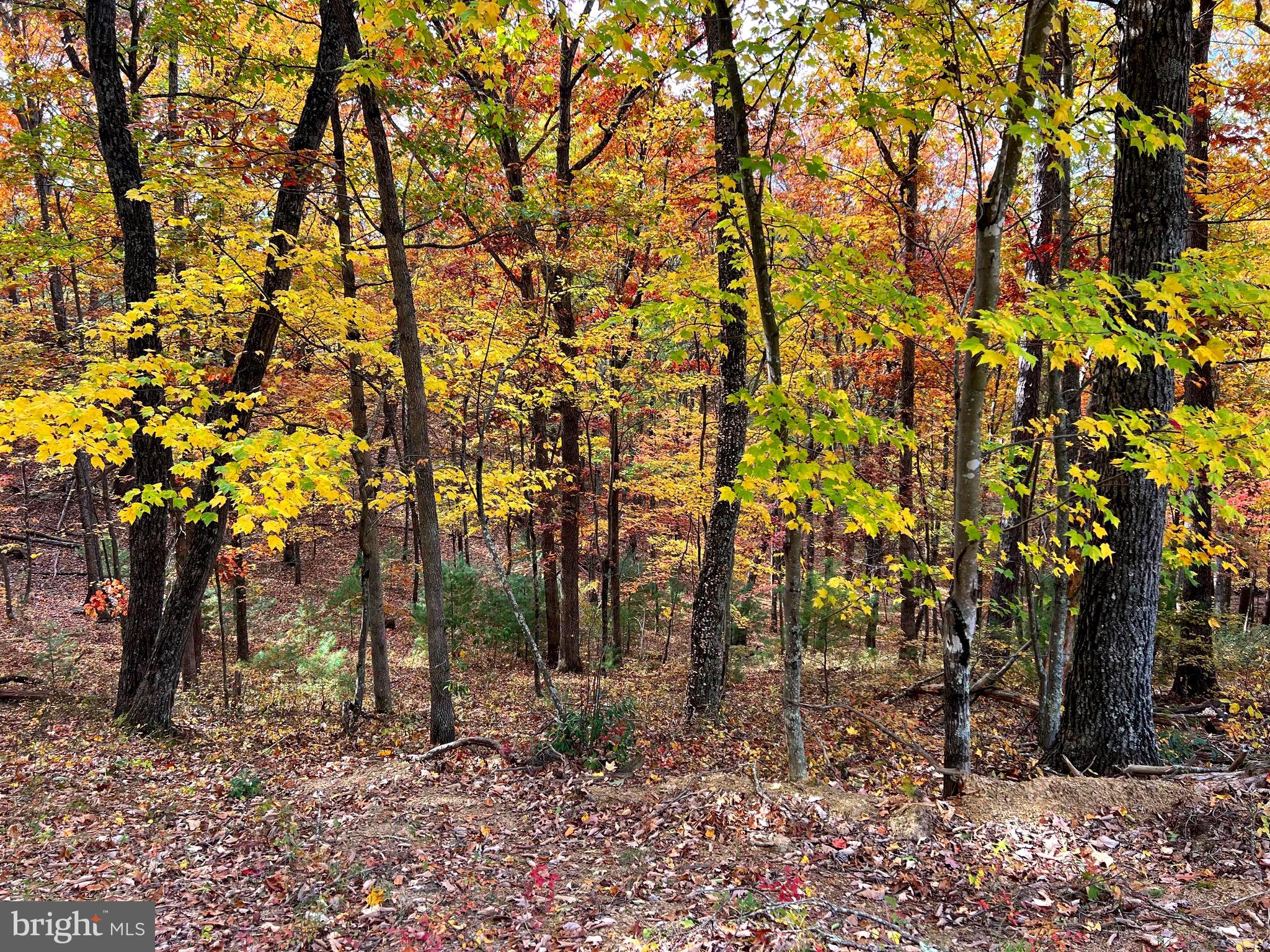 POTOMAV VALLEY OVERLOOK - Land
