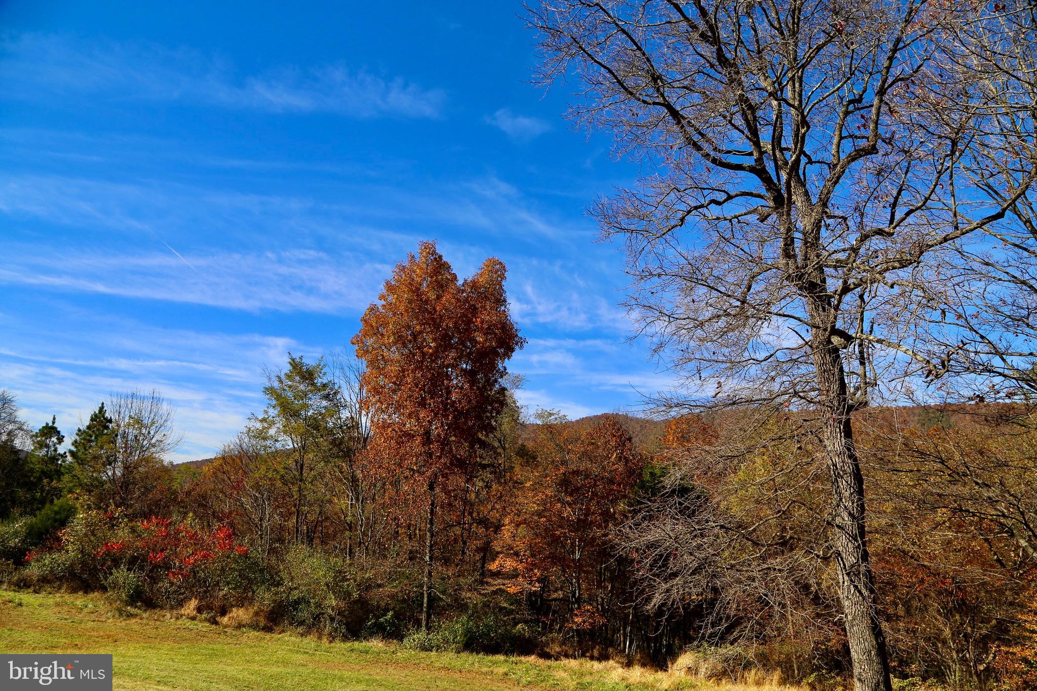 HICKORY WOODS - Residential