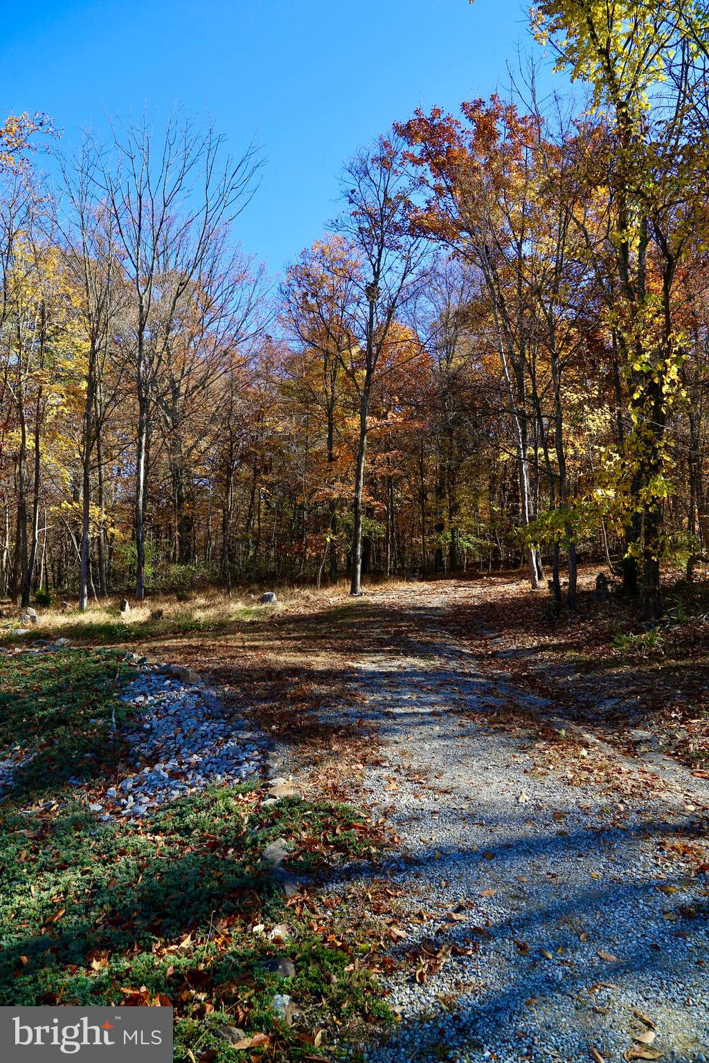 HICKORY WOODS - Residential