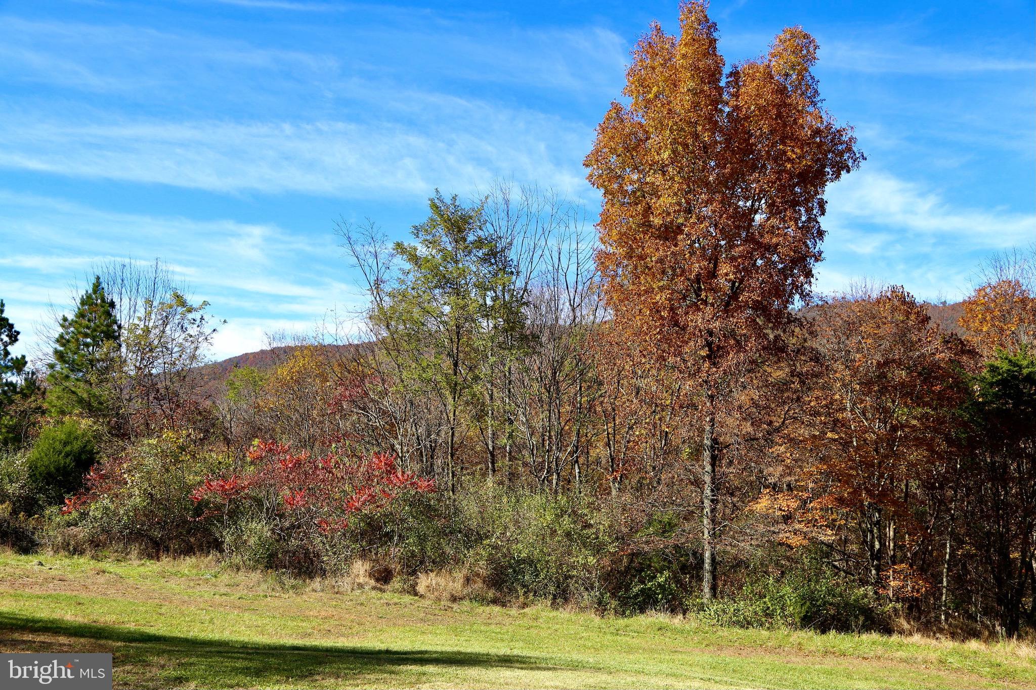 HICKORY WOODS - Residential
