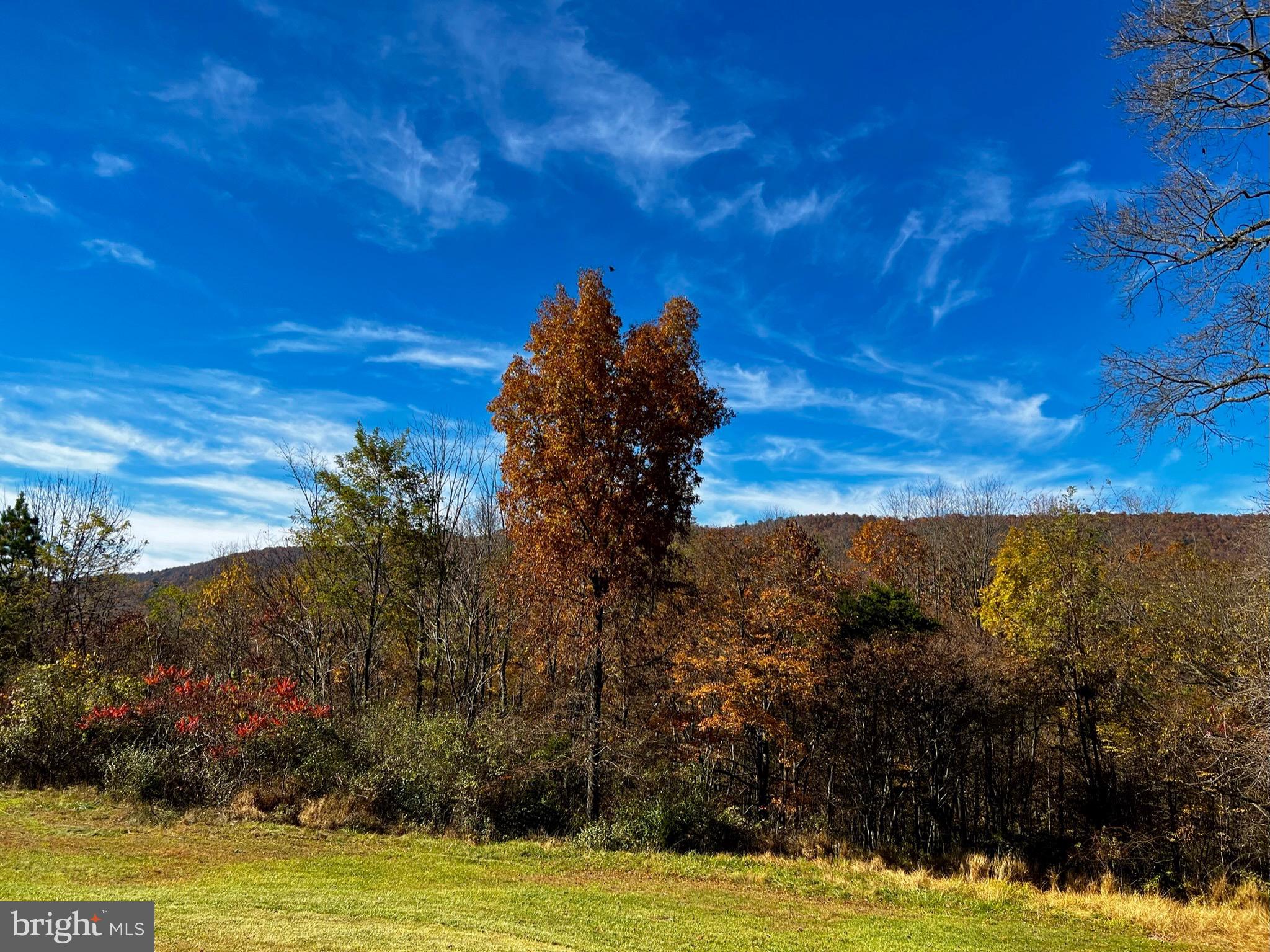 HICKORY WOODS - Residential