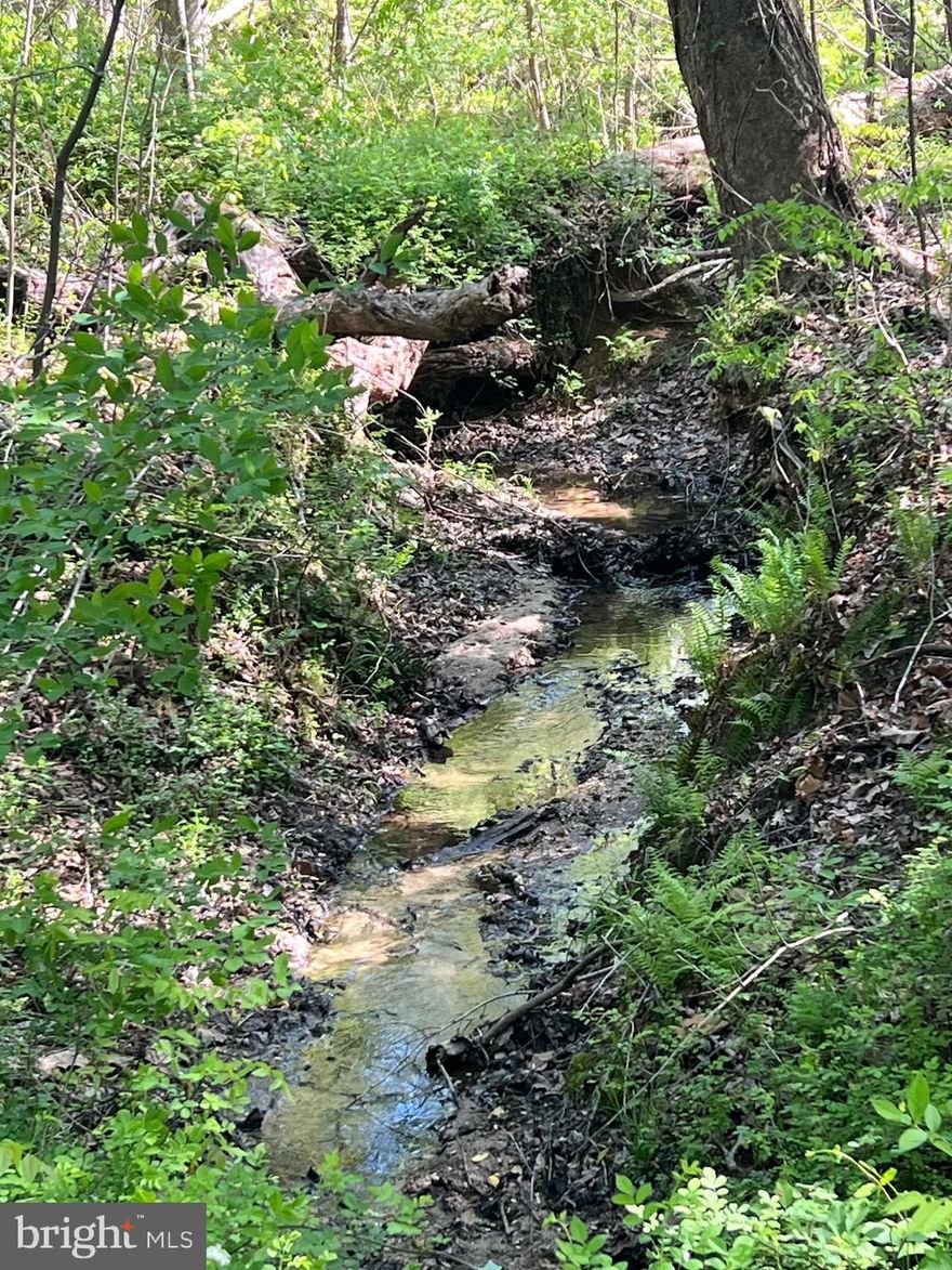 Lush 3.34 acre lot in a small subdivision adjacent to Jefferson Patterson Park. Take a walk and breathe it in, let your shoulders relax - you are home!  Nature abounds with mature trees and a small creek running through the property.  If you can imagine building your new home with all the benefits of living in the country, but keeping your commute to Solomons, Prince Frederick,  or even into St. Mary's for Pax River NAS all under 20 miles! There is a previous satisfactory perc that would need to be renewed.