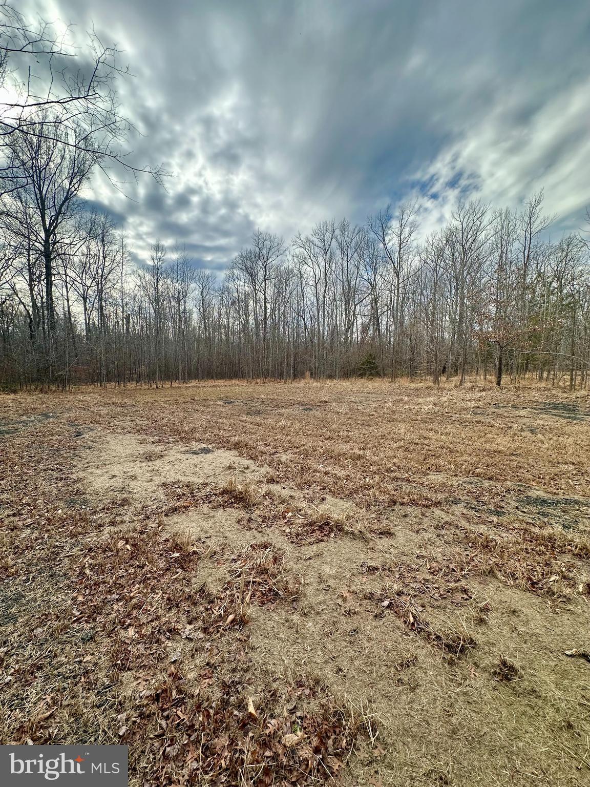 9680 ADAMS WILLETT ROAD