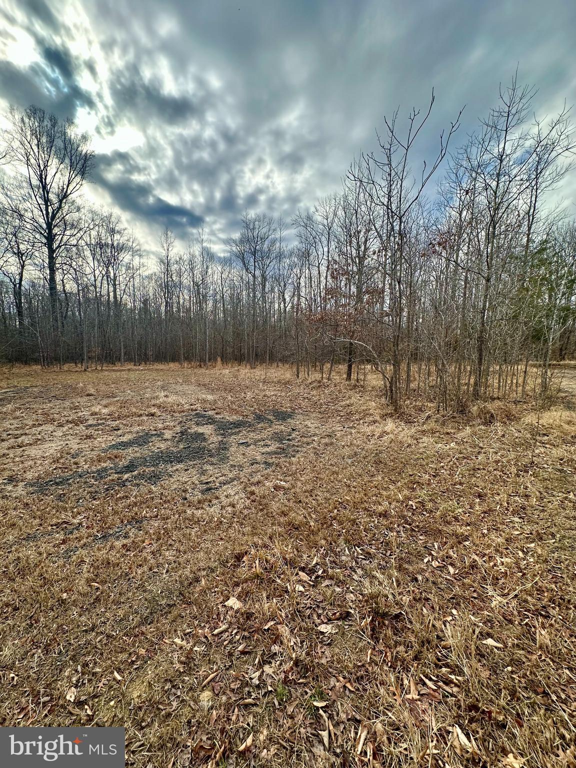 9680 ADAMS WILLETT ROAD