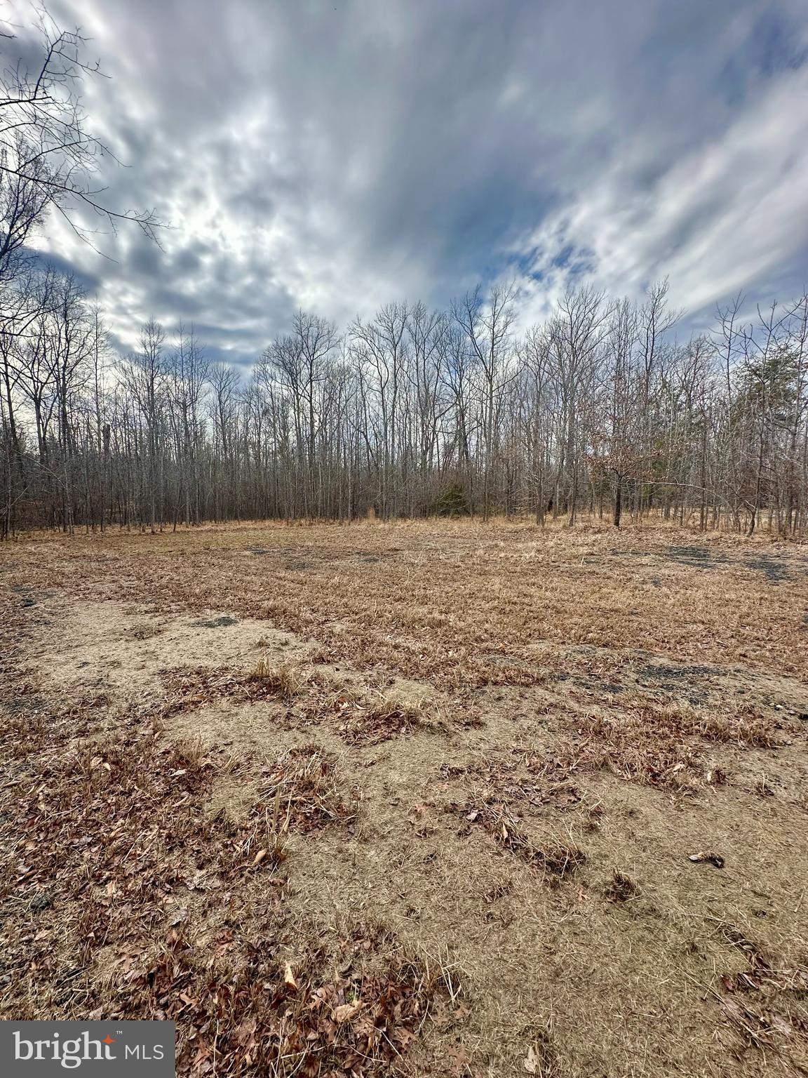 9680 ADAMS WILLETT ROAD