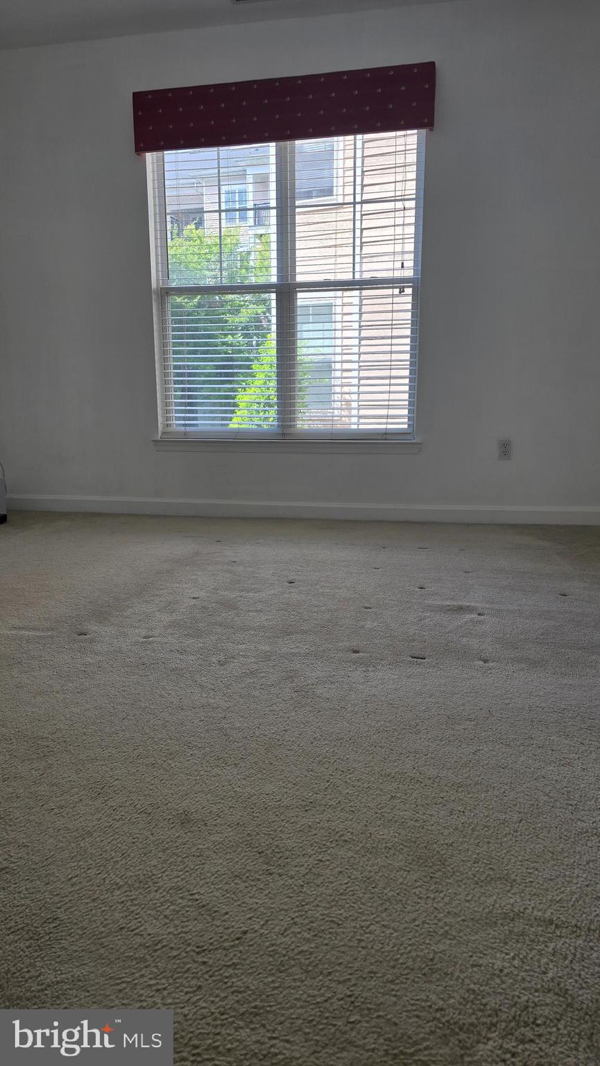 THE FITZ - Residential