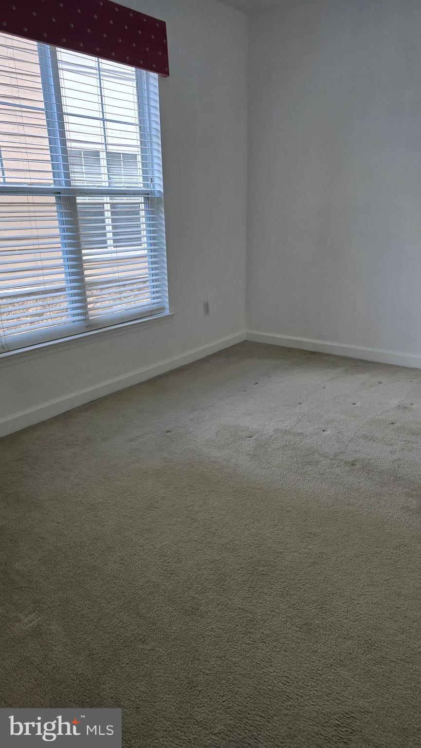 THE FITZ - Residential