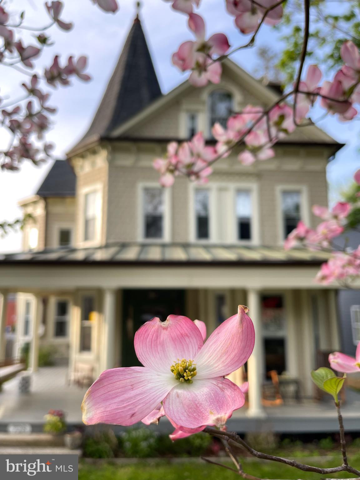 ROLAND PARK - Residential