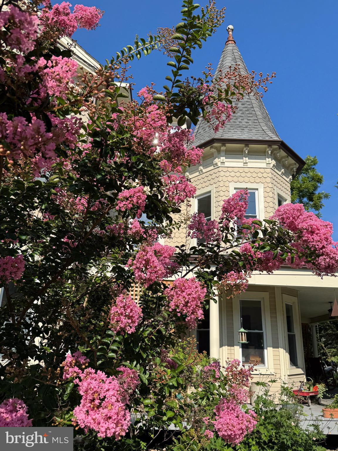 ROLAND PARK - Residential