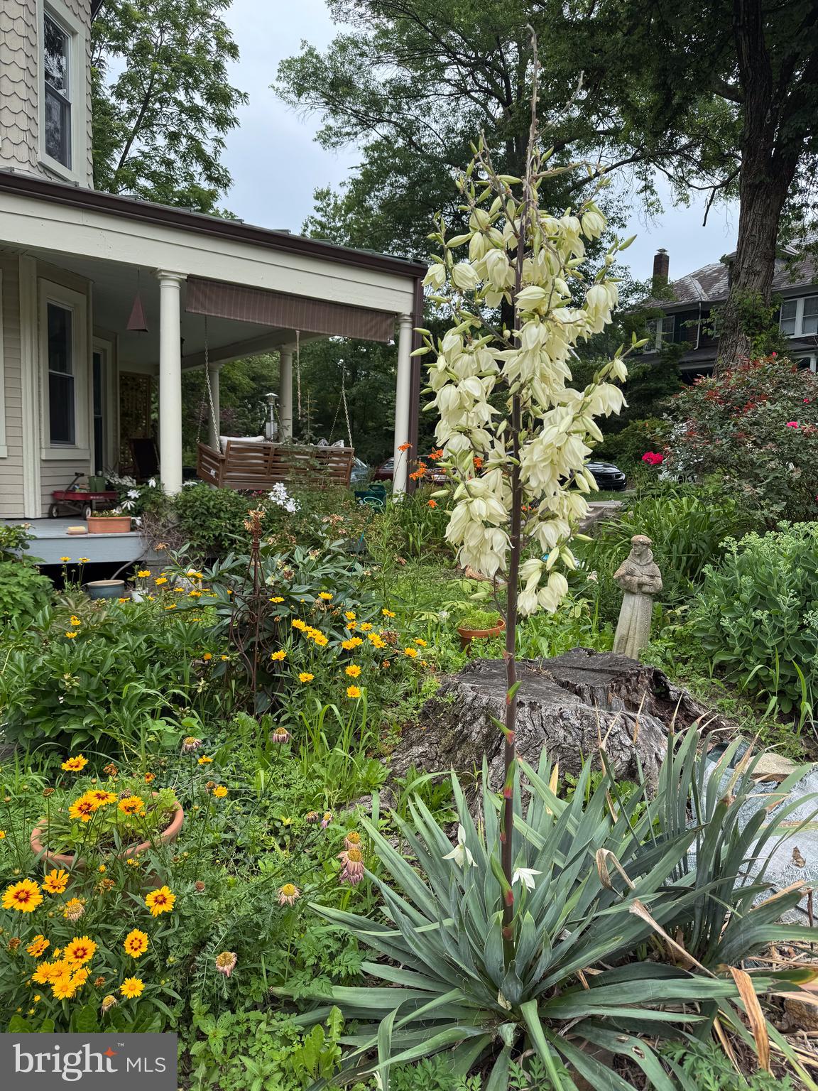 ROLAND PARK - Residential