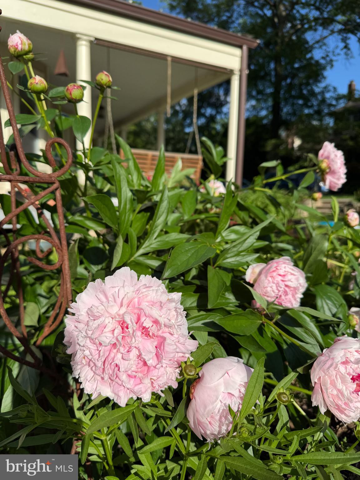 ROLAND PARK - Residential