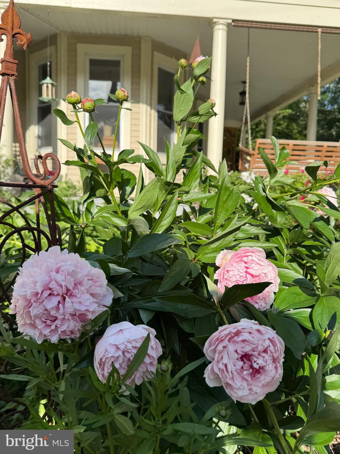 ROLAND PARK - Residential