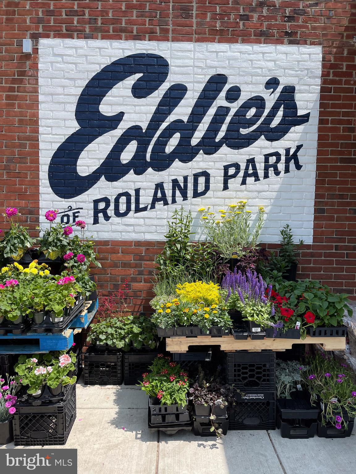 ROLAND PARK - Residential