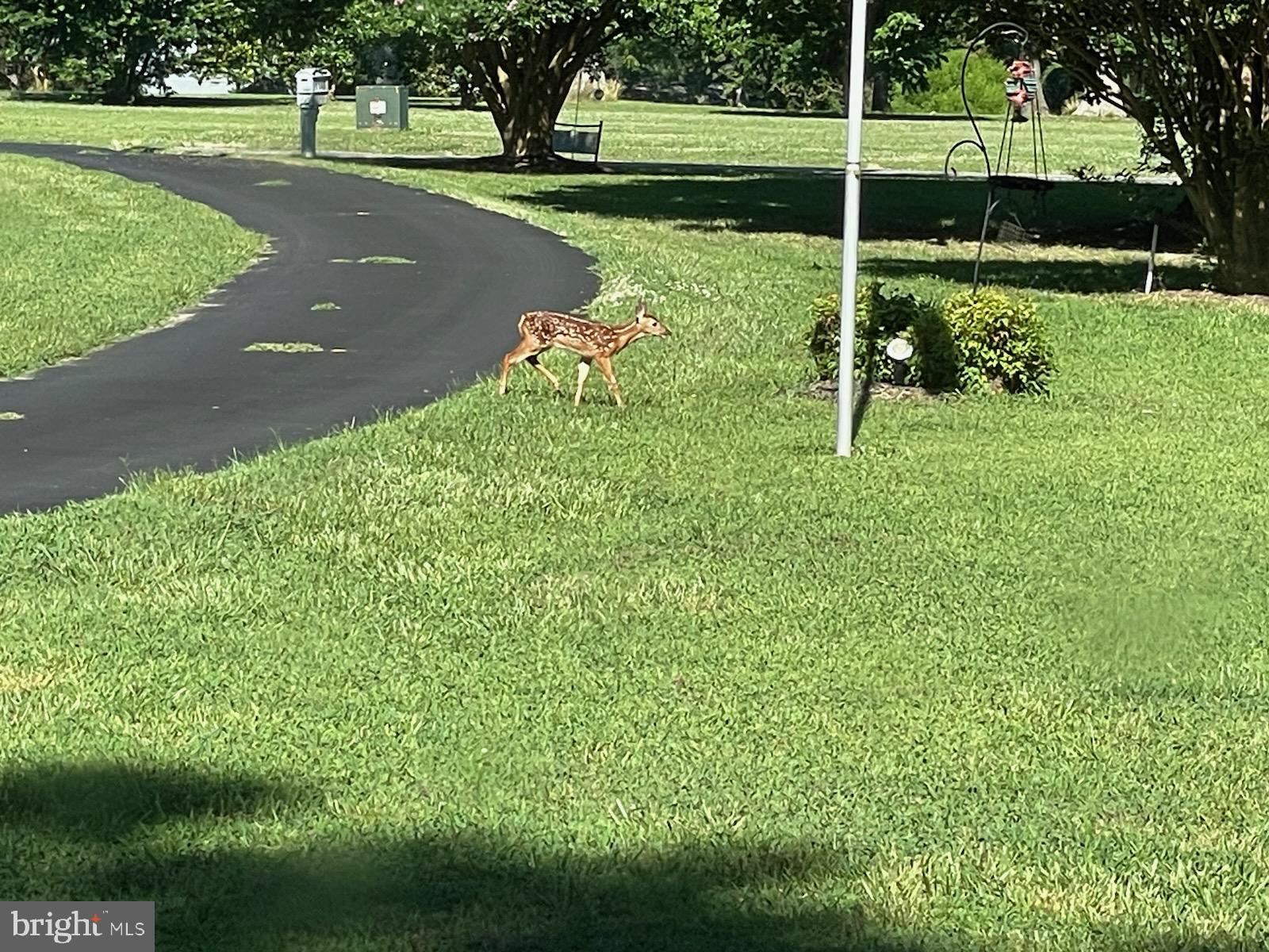 COAN HARBOUR ESTATES - Residential