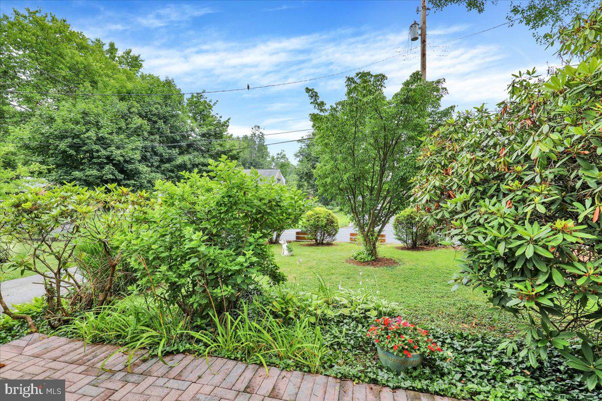 16 JACKSON DRIVE