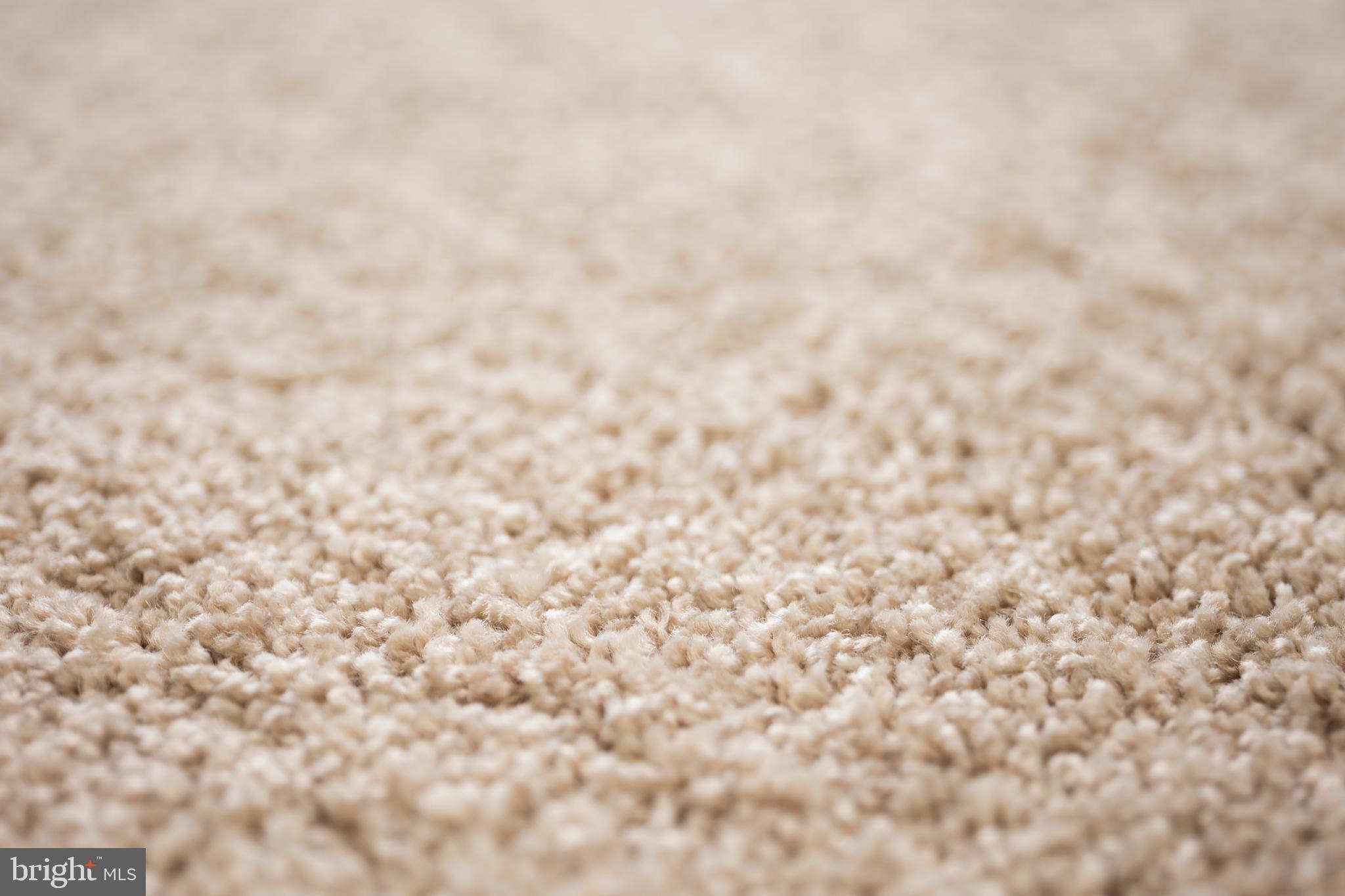 HARLEM PARK - Residential