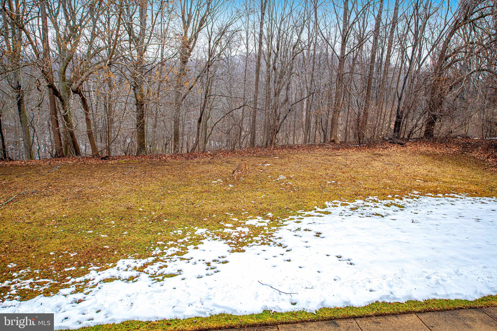 RED FOX FARMS - Residential