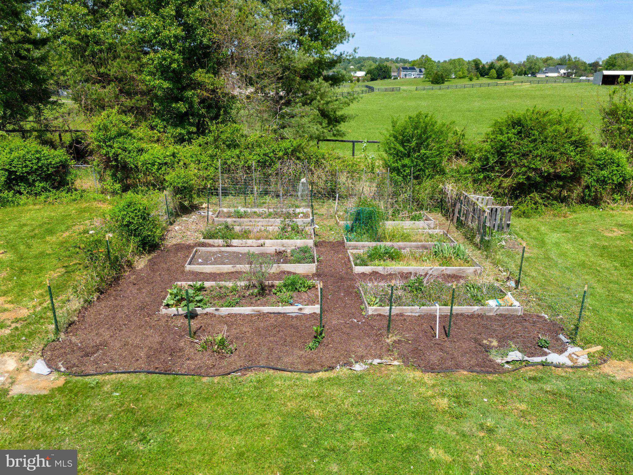 DRYSDALE - Residential