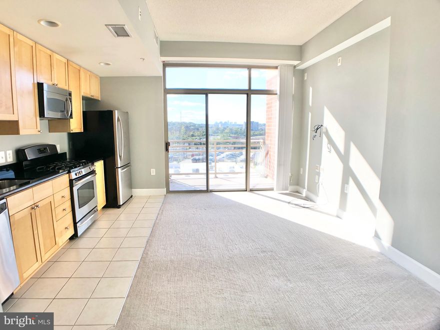 This exquisite light-filled studio offers fabulous unobstructed western views. Nestled in a luxury, elevator building with 24-hour concierge service, this is urban living at its finest. 

The kitchen boasts top-notch features, including gas cooking, full-size stainless steel appliances, granite counters, and tile floor. Convenience is taken to the next level with an in-unit washer and dryer.

Step inside and you'll immediately be impressed by the 10-foot tall ceilings, creating an open and spacious ambiance. The walk-in closet provides ample storage space, while the spacious bathroom features a relaxing bathtub. Additionally, you can enjoy your morning coffee or unwind after a long day on the private balcony.

Parking is included with reserved garage parking for one car. Beyond your studio's comforts, the building itself is a treasure trove of amenities. It boasts a state-of-the-art fitness center, a refreshing pool, a party room for entertaining guests, and even a movie theater for cinematic experiences without leaving home. The rooftop deck offers sweeping views of the Potomac River, Washington Monument, US Capitol, and the Washington DC 4th of July Fireworks!

The location is unbeatable, with a Harris Teeter grocery store conveniently situated within the building, making grocery shopping a simple task. There are plenty of restaurants, shopping options, and various trails for leisurely strolls or invigorating bike rides.

For commuters, the Crystal City Transitway dedicated bus lanes stop right in front of the building and the newly opened Potomac Yard Metro is .75 miles away providing seamless access to public transportation. 

Prospective tenants can apply online through Rent Spree. To ensure a smooth application process, be prepared to provide proof of income and a valid government ID with your submission. Pets are allowed on a case-by-case basis. Available starting May 1. Minimum 12-month lease, longer term leases are also an option. 

Don't miss out on the opportunity to call this remarkable place your new home.

Includes parking, pool, and gym
Tenant responsible for all utilities