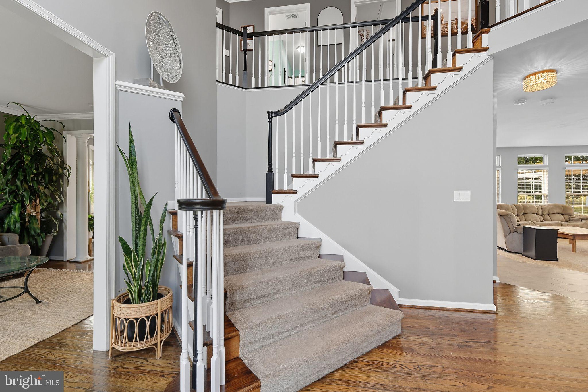 COX CREEK LANDING - Residential