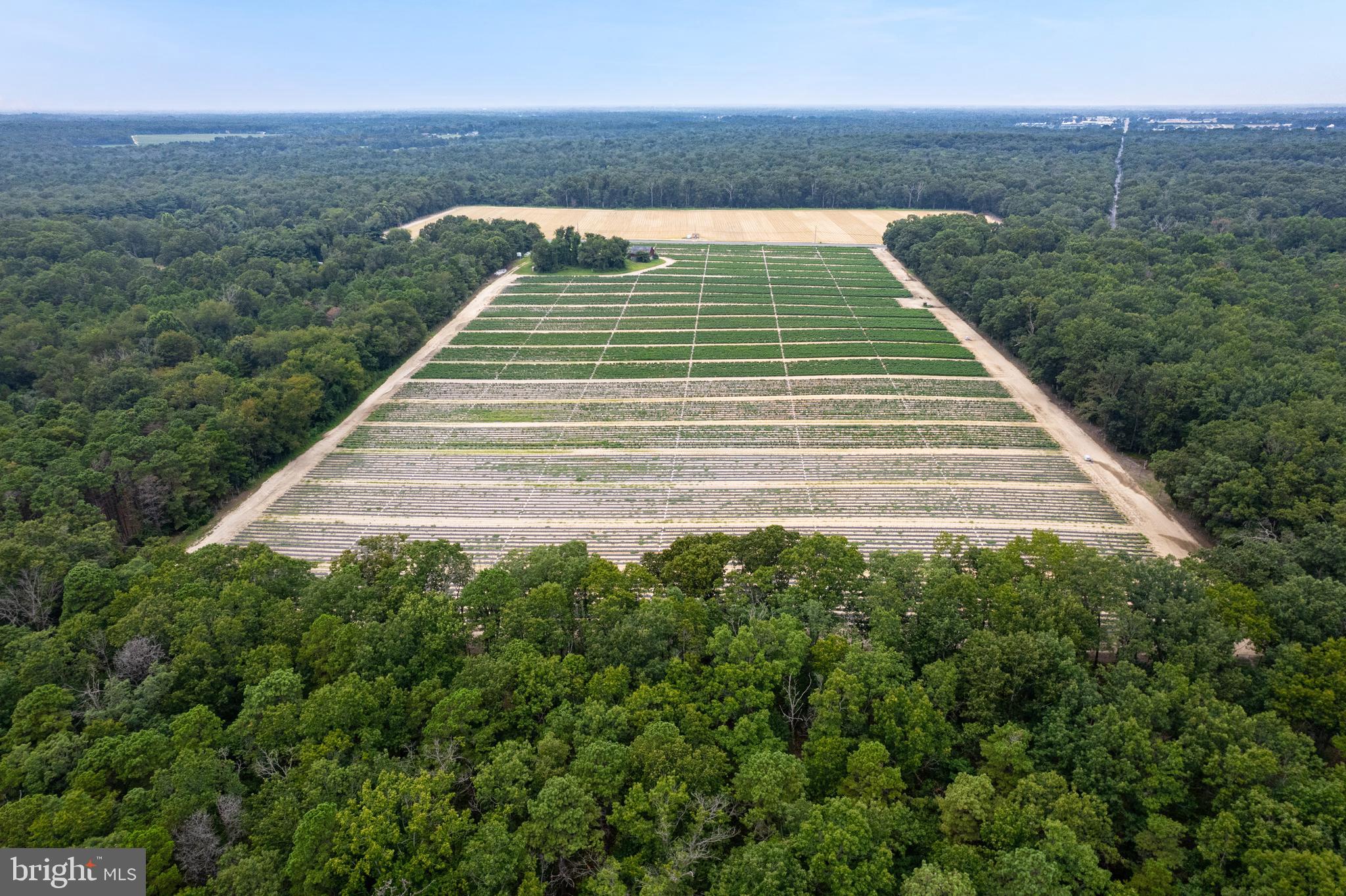 4225 MAYS LANDING ROAD