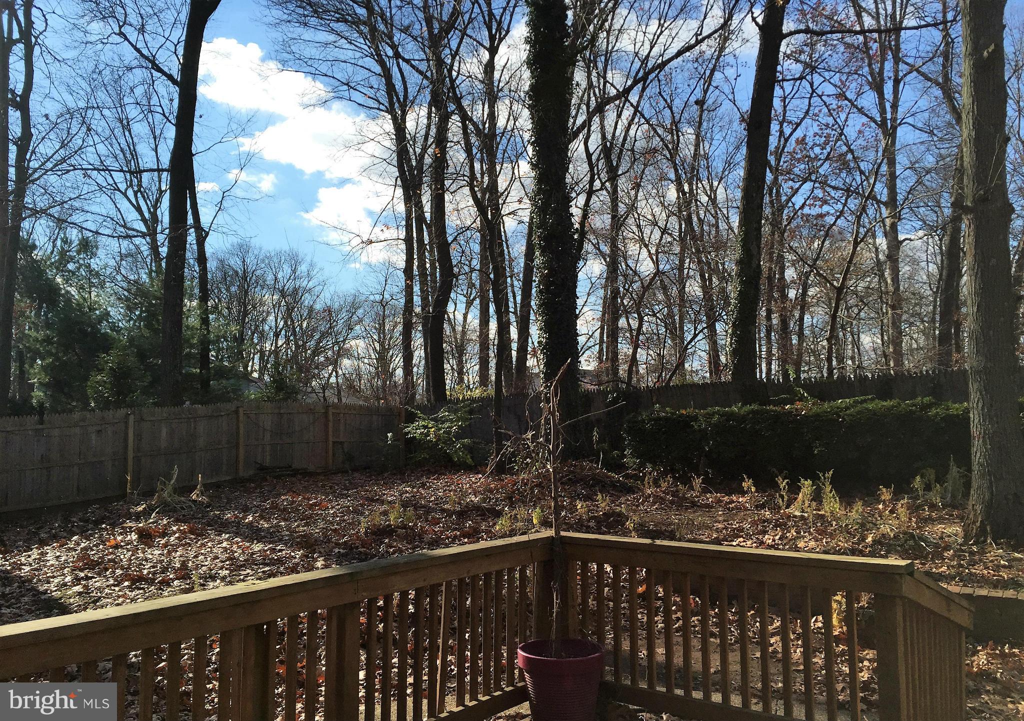 LAYTONIA - Residential Lease