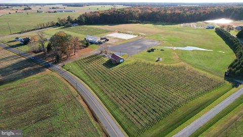 11138 THREE BRIDGE BRANCH ROAD CORDOVA MD 21625