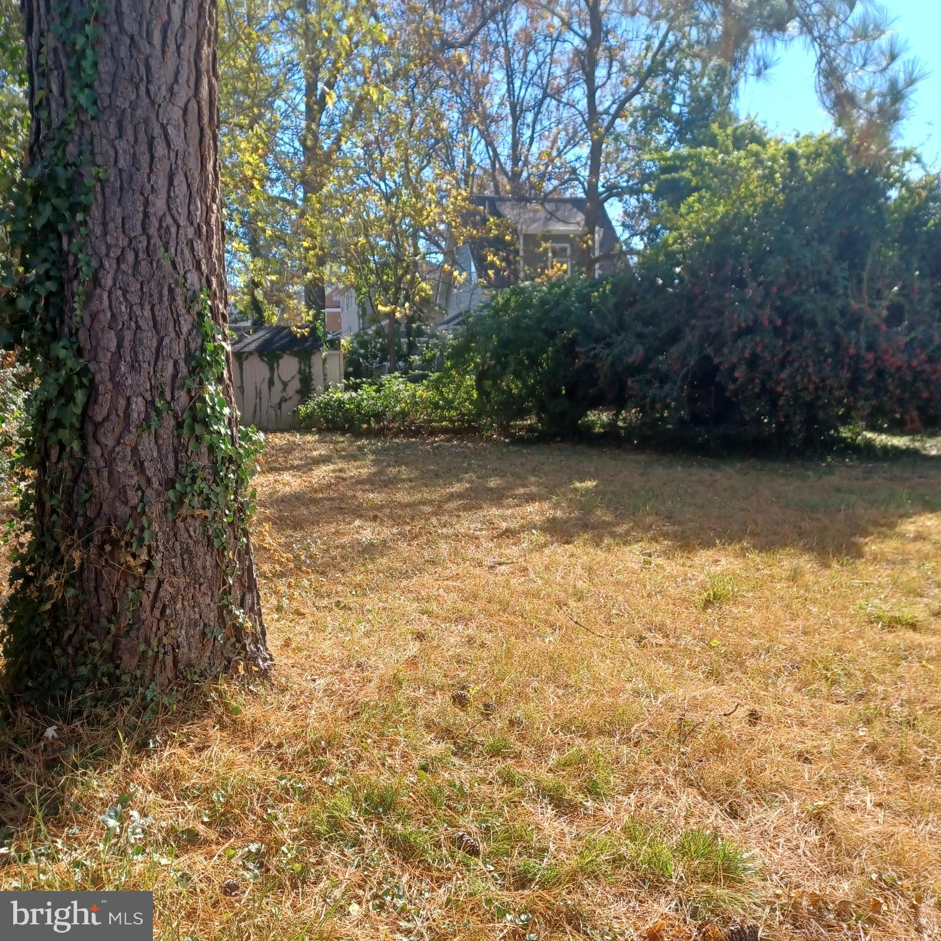 BON AIR - Residential