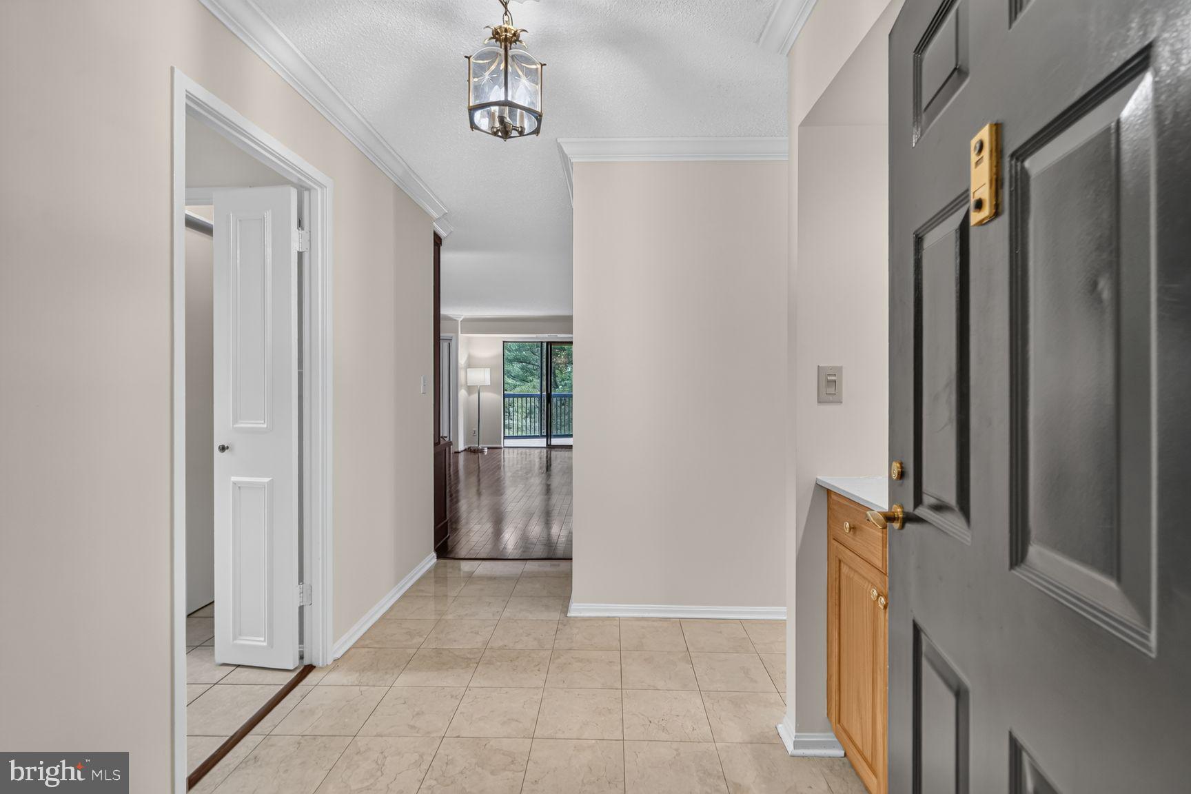 5903 MOUNT EAGLE DRIVE 204