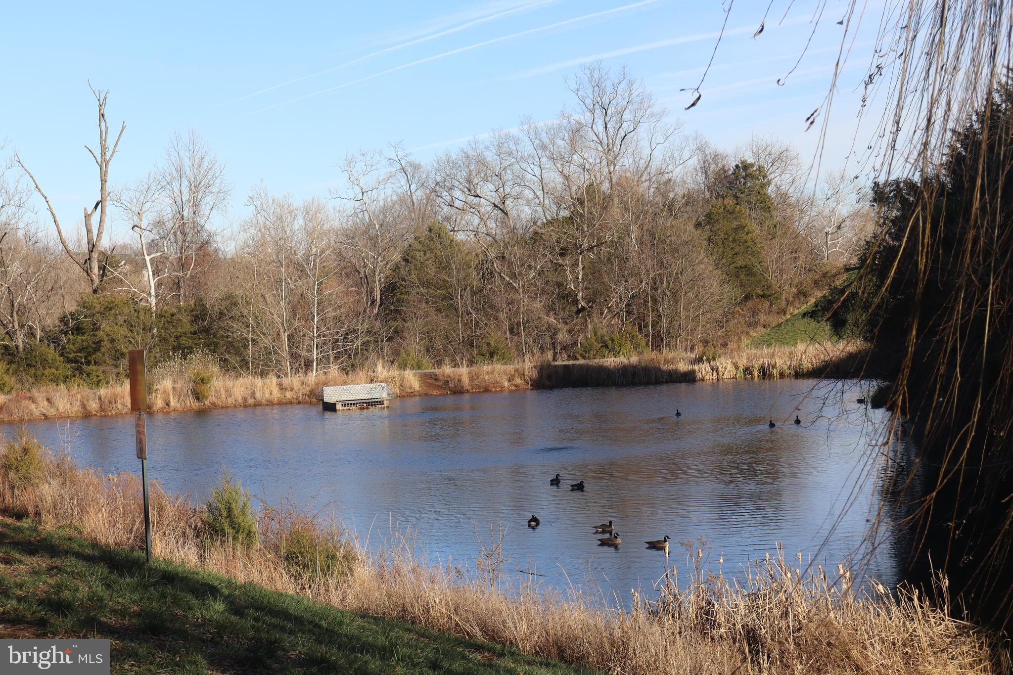 PIEDMONT SOUTH - Residential