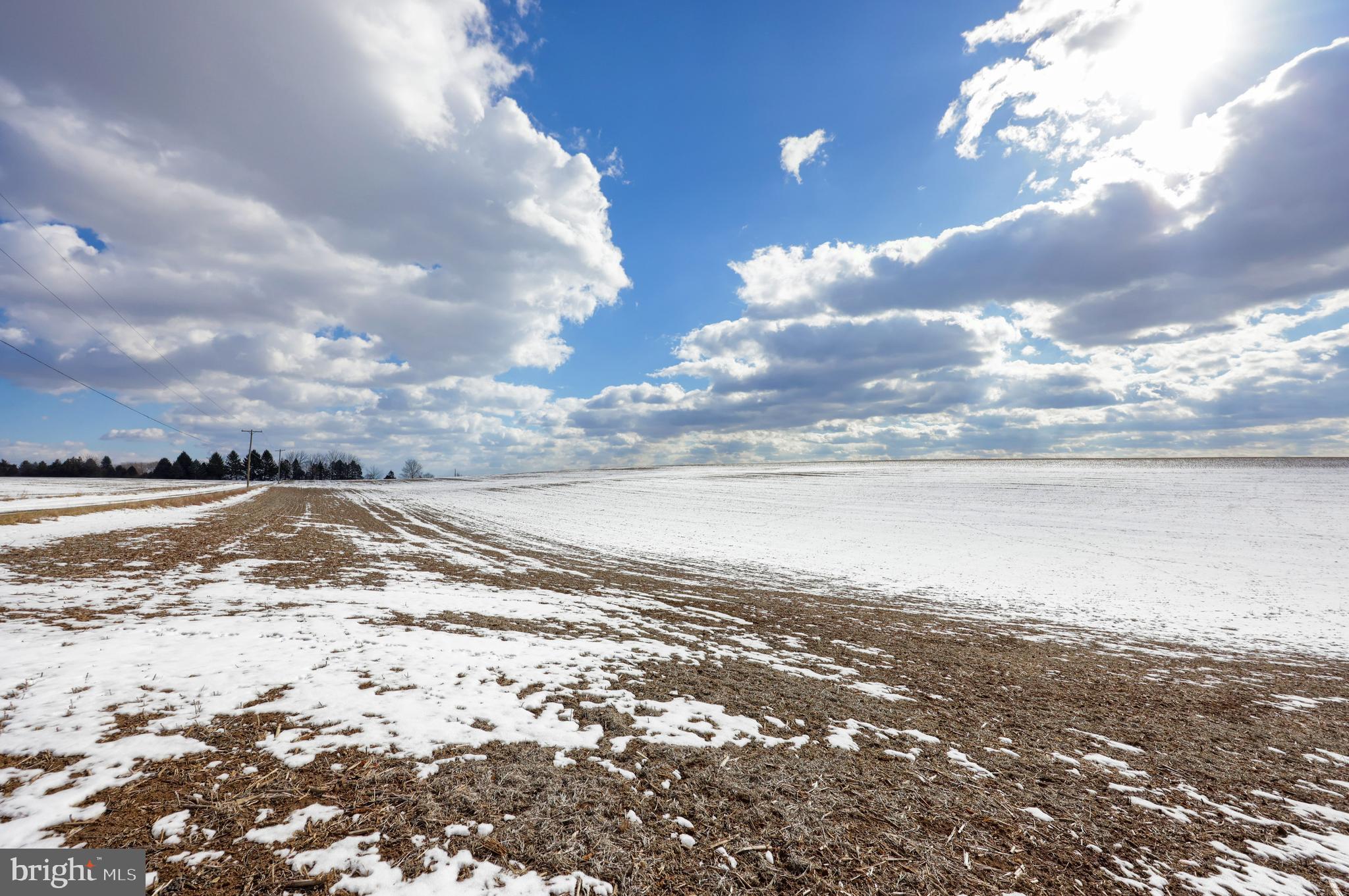 NONE AVAILABLE - Farm