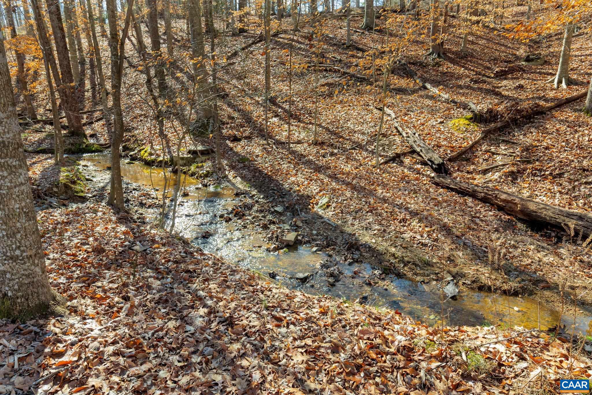 LAKE MONTICELLO - Residential