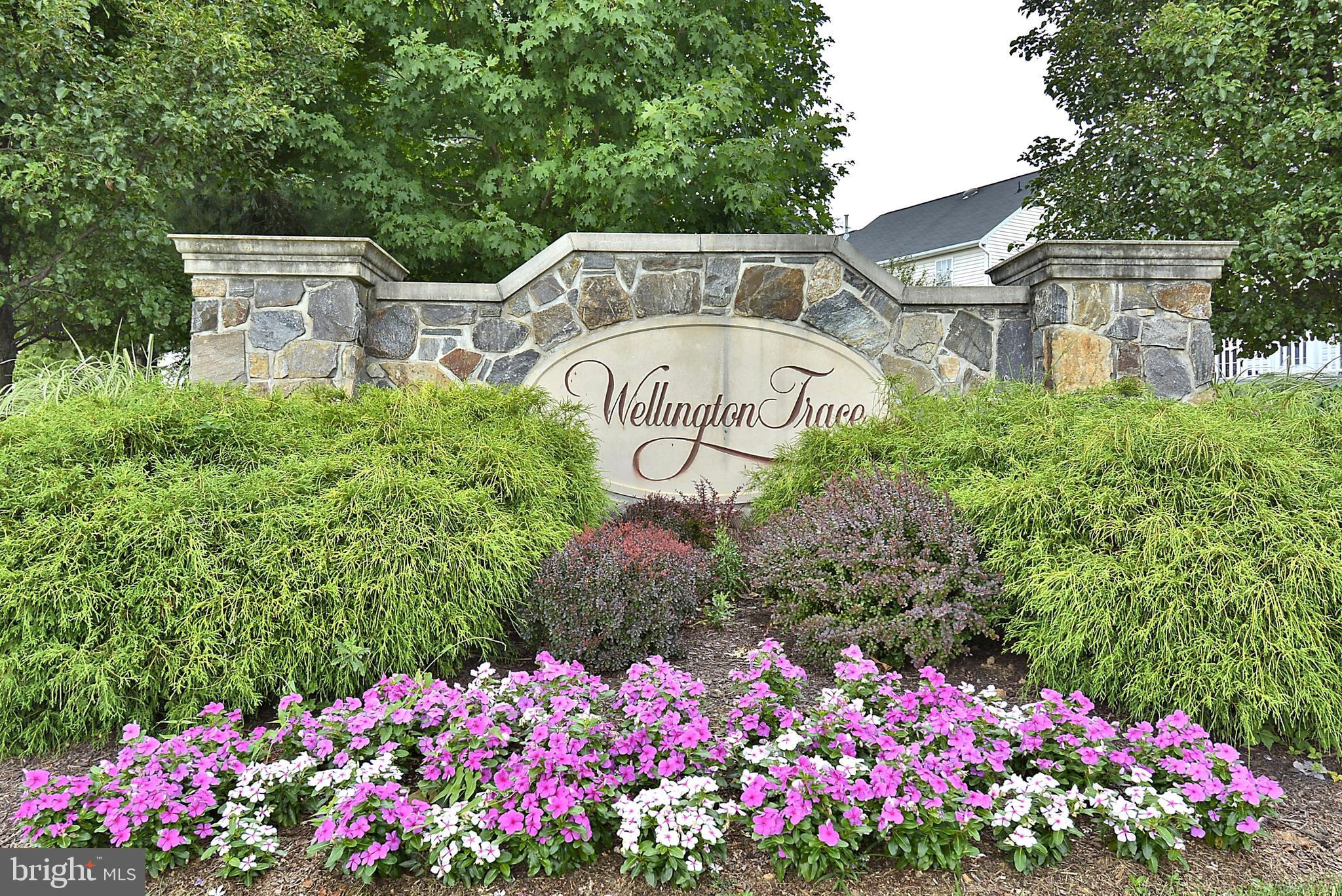 WELLINGTON TRACE - Residential